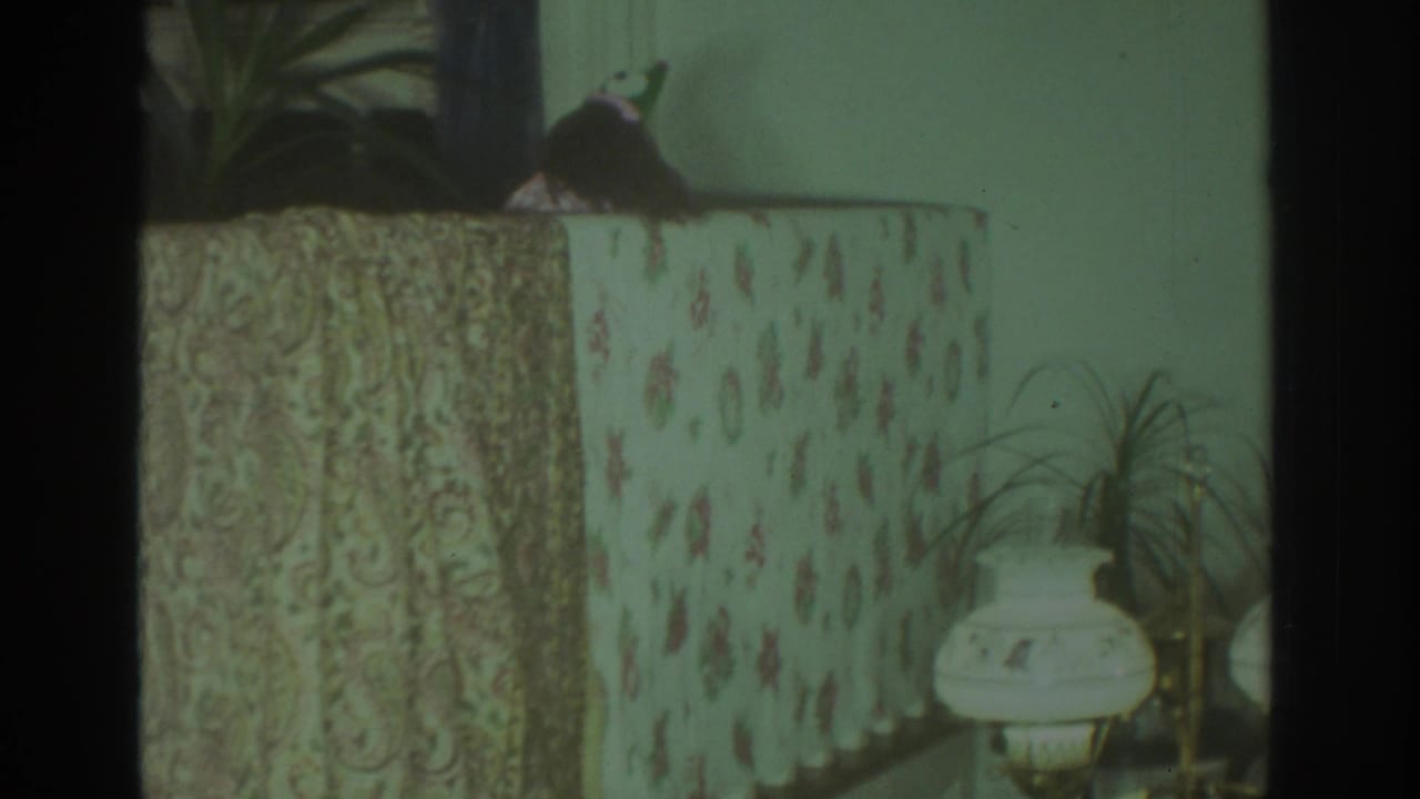 Animal puppet partly visible above a patterned sofa cover with a lamp and plants nearby.