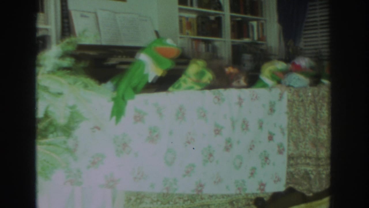Green frog puppet and other figures on a floral-covered table in a living room.