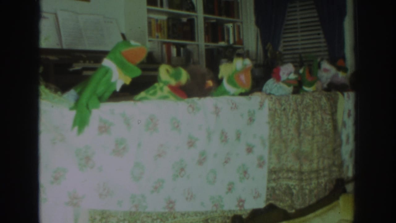 Frog puppet and several small animal figures arranged behind a floral cloth.