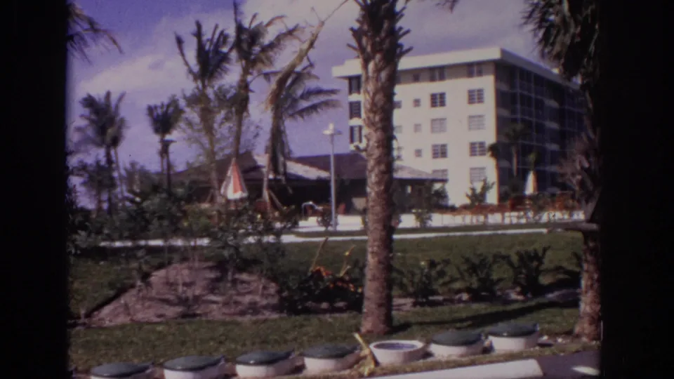 Naples, Florida, 1973 landscaped exterior with palm trees, low shrubs, walkway lights, and a taller white residential or hotel-like building.