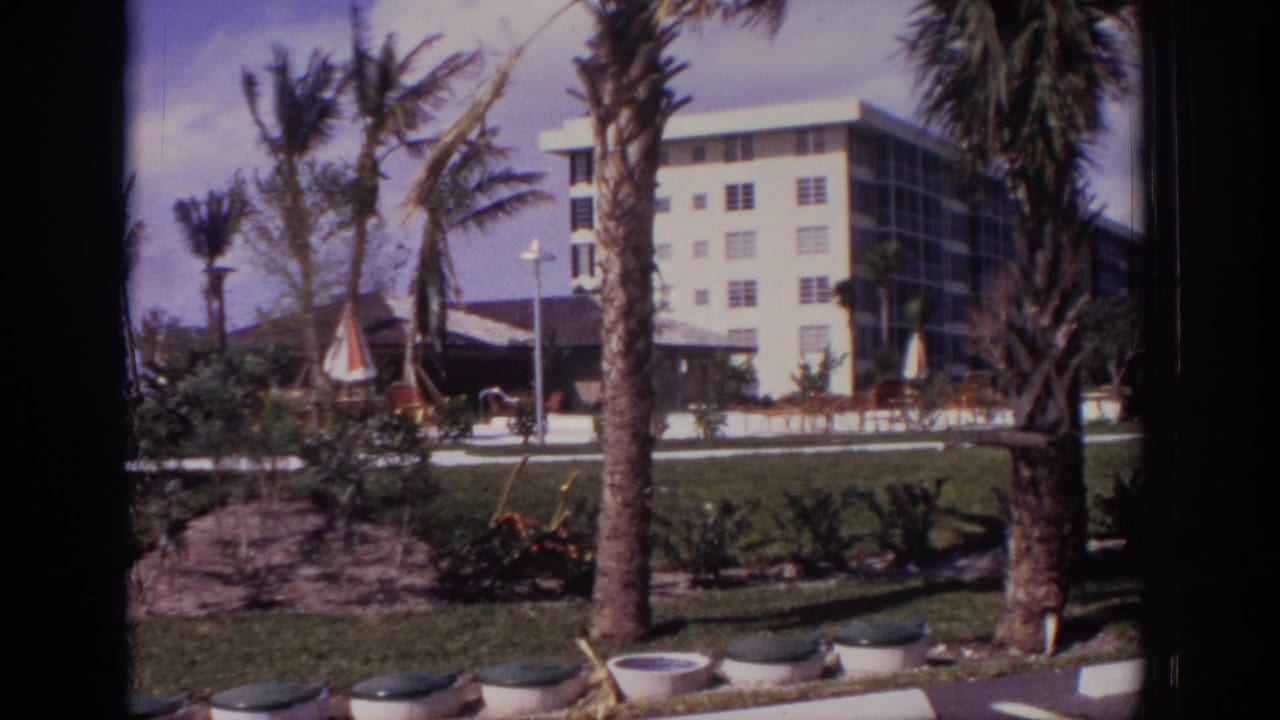 Palm trees and a white apartment building behind a landscaped lawn.
