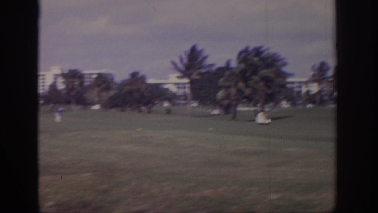 1973 Naples, Florida 8mm frame showing a grassy courtyard, palms bending in wind, and low apartment buildings in the distance.