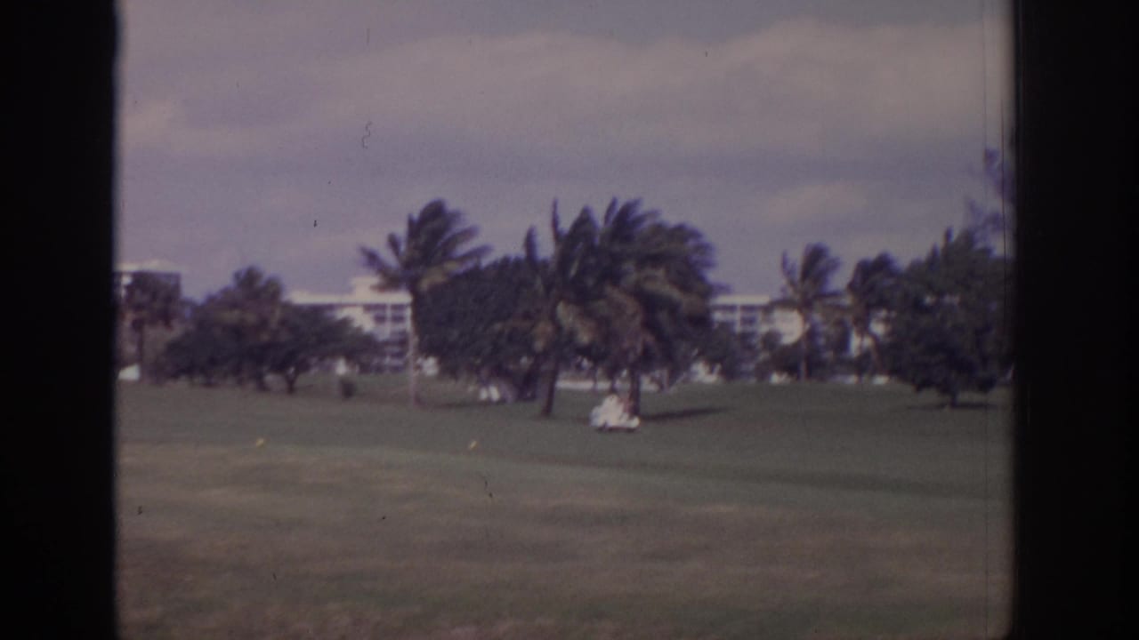 1973 Naples, Florida home-movie frame of a palm-lined lawn with distant apartment structures under overcast light.