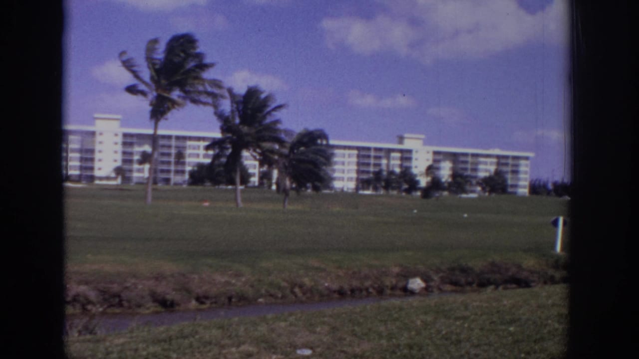 White resort building beyond palms and grass, seen through dark window framing.