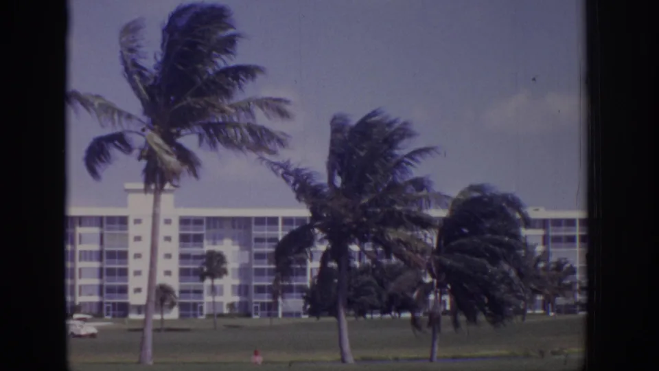 1973 Naples, Florida resort lawn with wind-bent palms, a white car, and a multi-story building in the background.