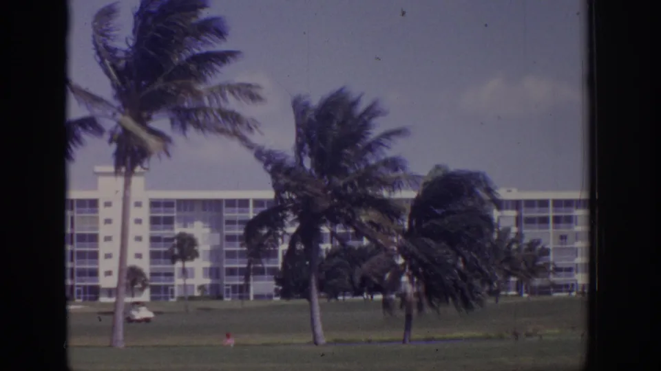 Windy 1973 Naples resort scene with palms bending across a grassy area before a multi-story building.
