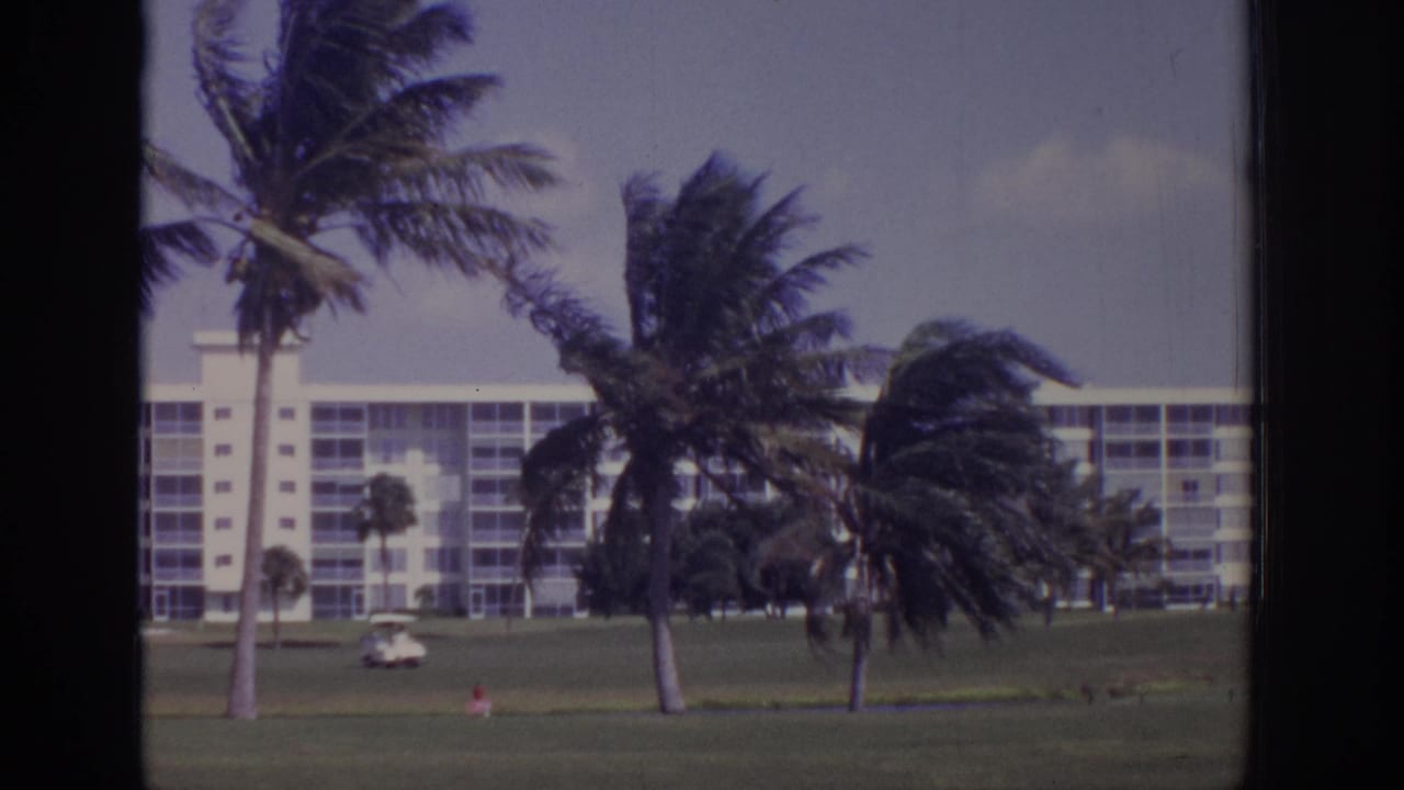 1973 Naples, Florida golf course scene with palms bending in wind, a white resort building, lawn, and a small golf cart in the distance.