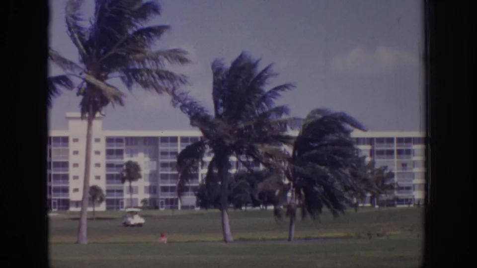 1973 Naples, Florida golf course scene with palms bending in wind, a white resort building, lawn, and a small golf cart in the distance.