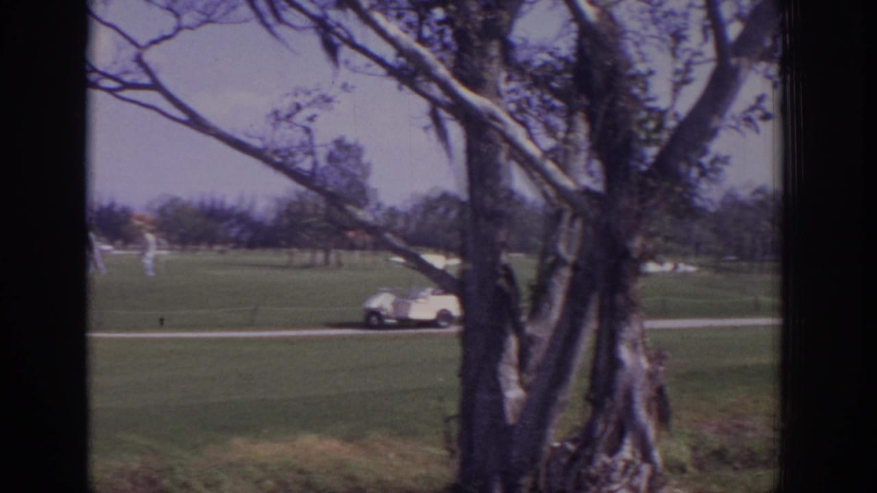 Windy 1973 Naples golf course view with a foreground tree, open fairway, distant people, and a white golf cart crossing the scene.