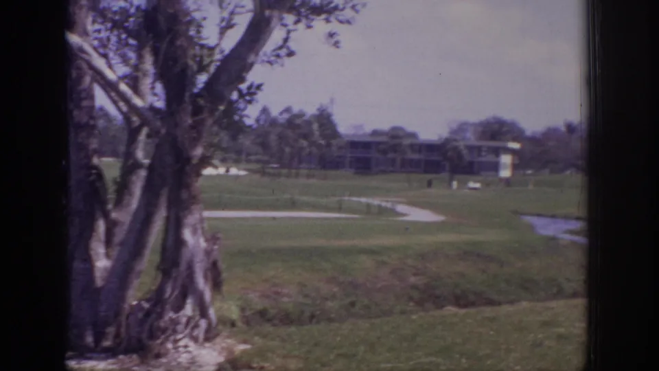 1973 Naples, Florida golf course view with a large tree, winding cart path, water channel, distant golfers, and low-rise buildings.