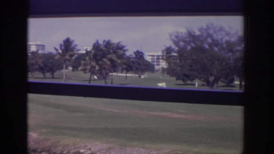 A 1973 Naples resort course is seen through the lower window panes, with palm trees, open grass, and a partial white hotel in view.