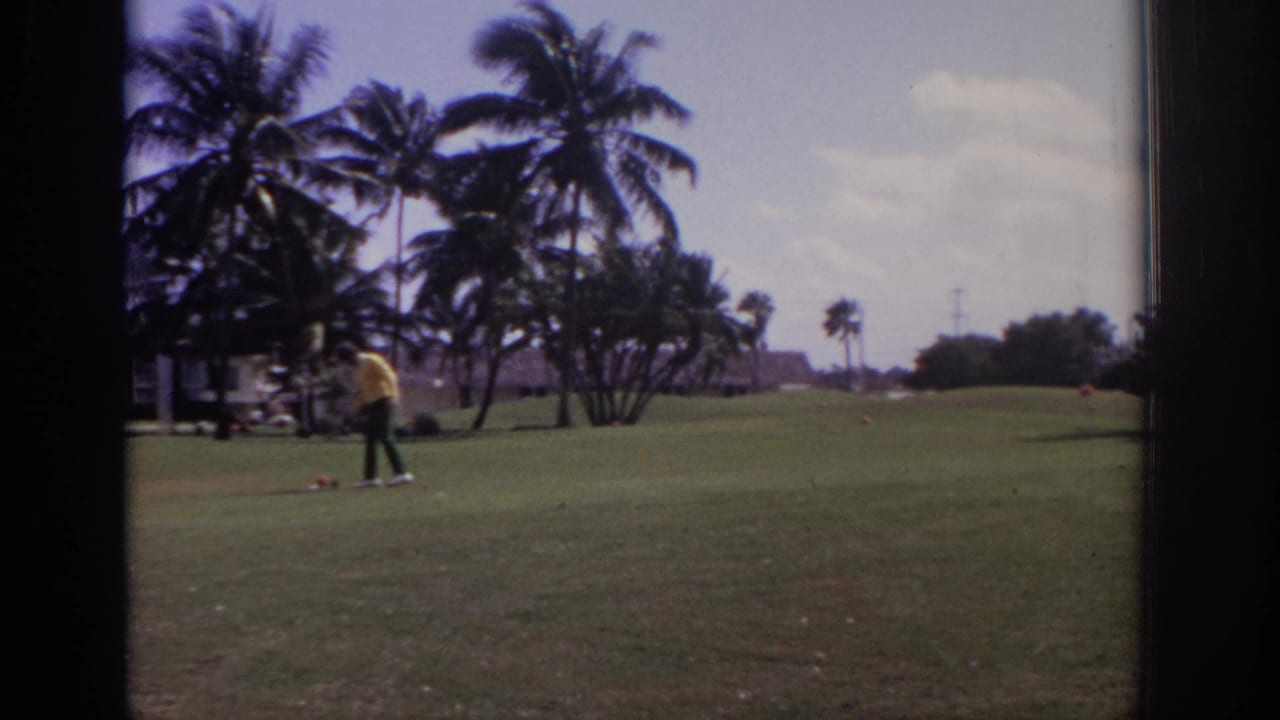 A golfer in a yellow shirt stands on a palm-lined green with a golf cart nearby.