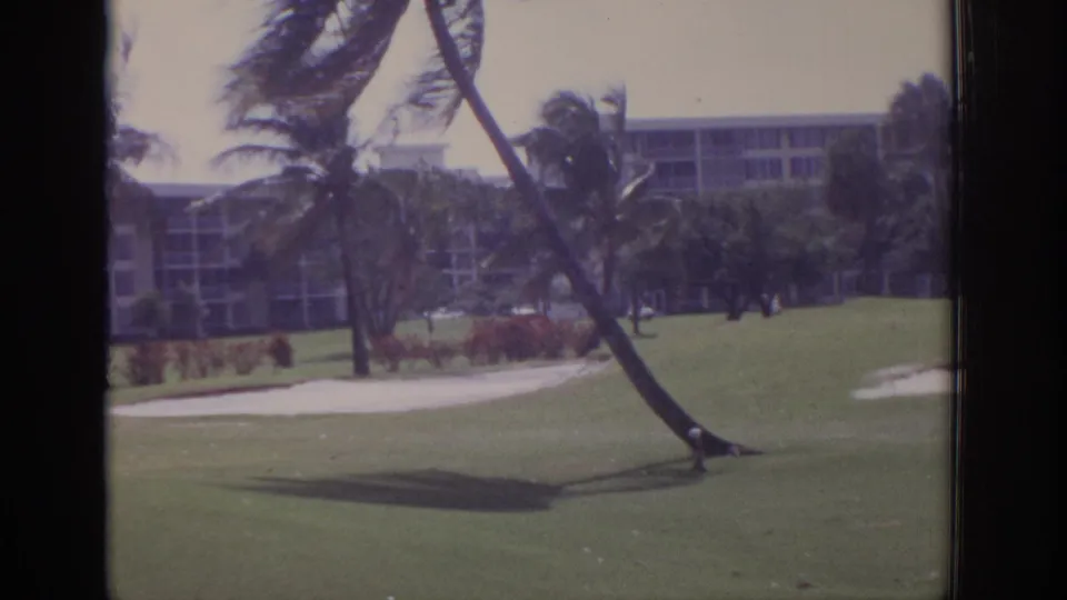 1973 Naples, Florida resort course view with leaning palms, a multi-story building, clipped green, path, and sand trap.