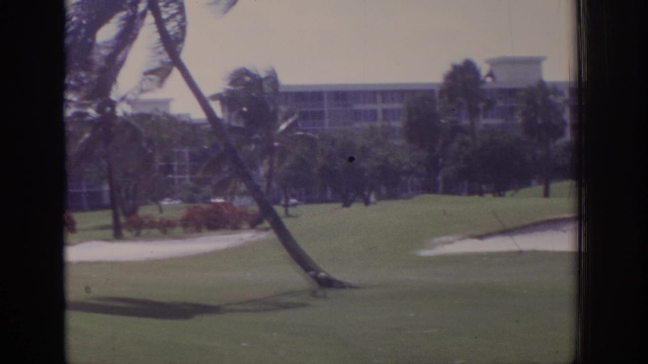 Windy golf course with a leaning palm, sand bunker, grass, and resort building in the background.