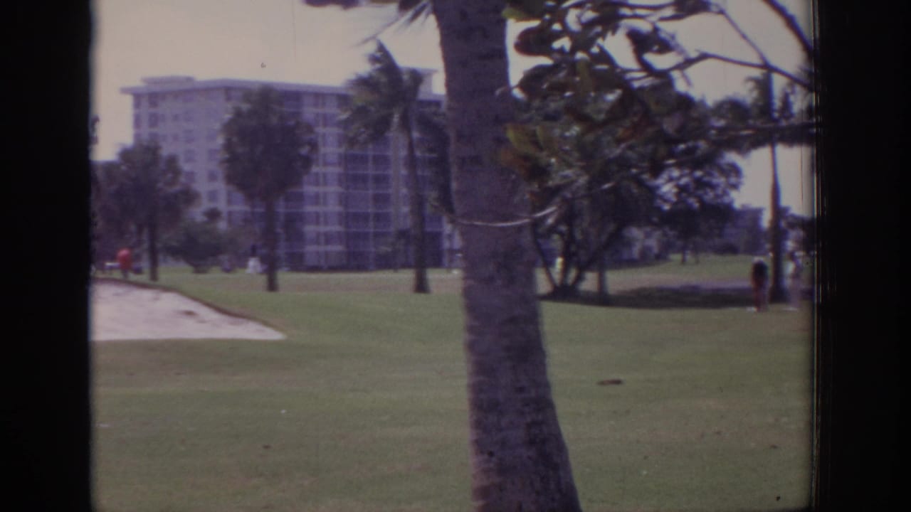 Palm-lined golf course with grass, a distant building, and a paved path.