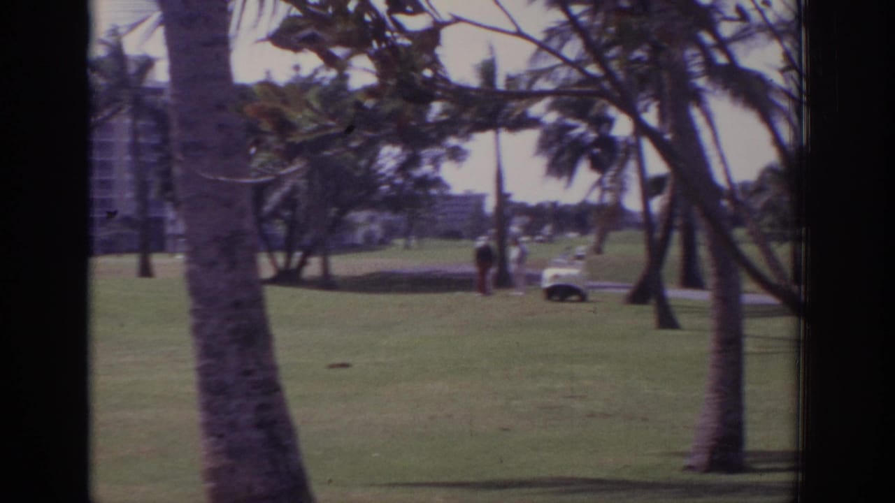 Golf course lawn with palm trees, distant people, and a small white cart.