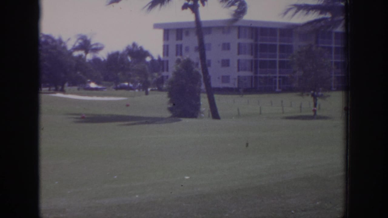 1973 Naples, Florida 8mm frame of a resort golf course with palms leaning in wind and an indistinct person at right.