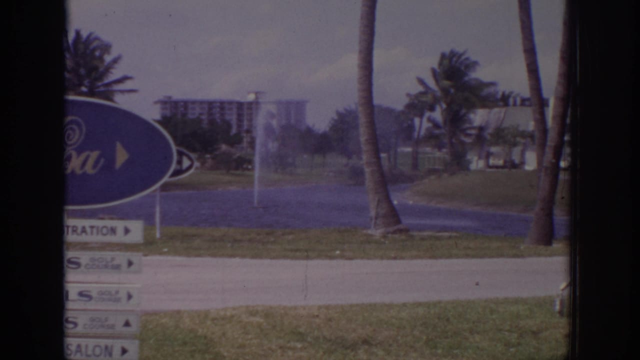 Resort sign beside palm trees, fountain spray, grass, road, and distant buildings.