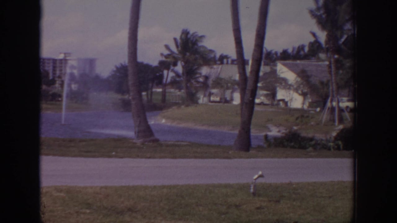 Palm trees and fountain spray across a road near resort buildings and grass.