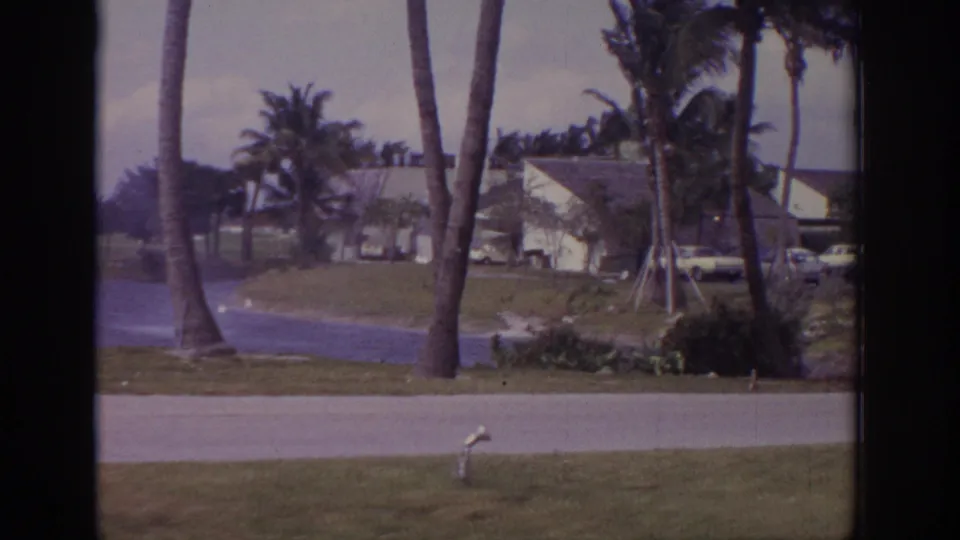 1973 Naples resort view with windblown palms, fountain spray, lawn, road, parked cars, and a low modern building.