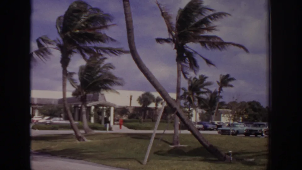 1973 Naples, Florida 8mm frame of strong winds bending palms near a low building, lawn, walkway, and parked cars.