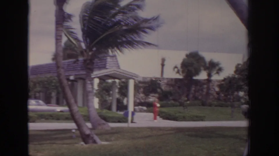 1973 Naples, Florida 8mm frame of palms bending in strong wind as a person in red stands or walks near a low building.
