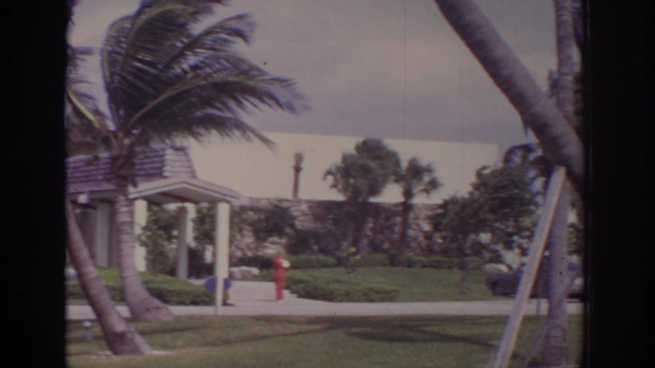 Palm trees bend in wind near a walkway and building entrance.
