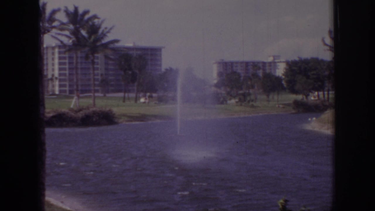 Lake fountain sprays in strong wind with palms and buildings beyond.