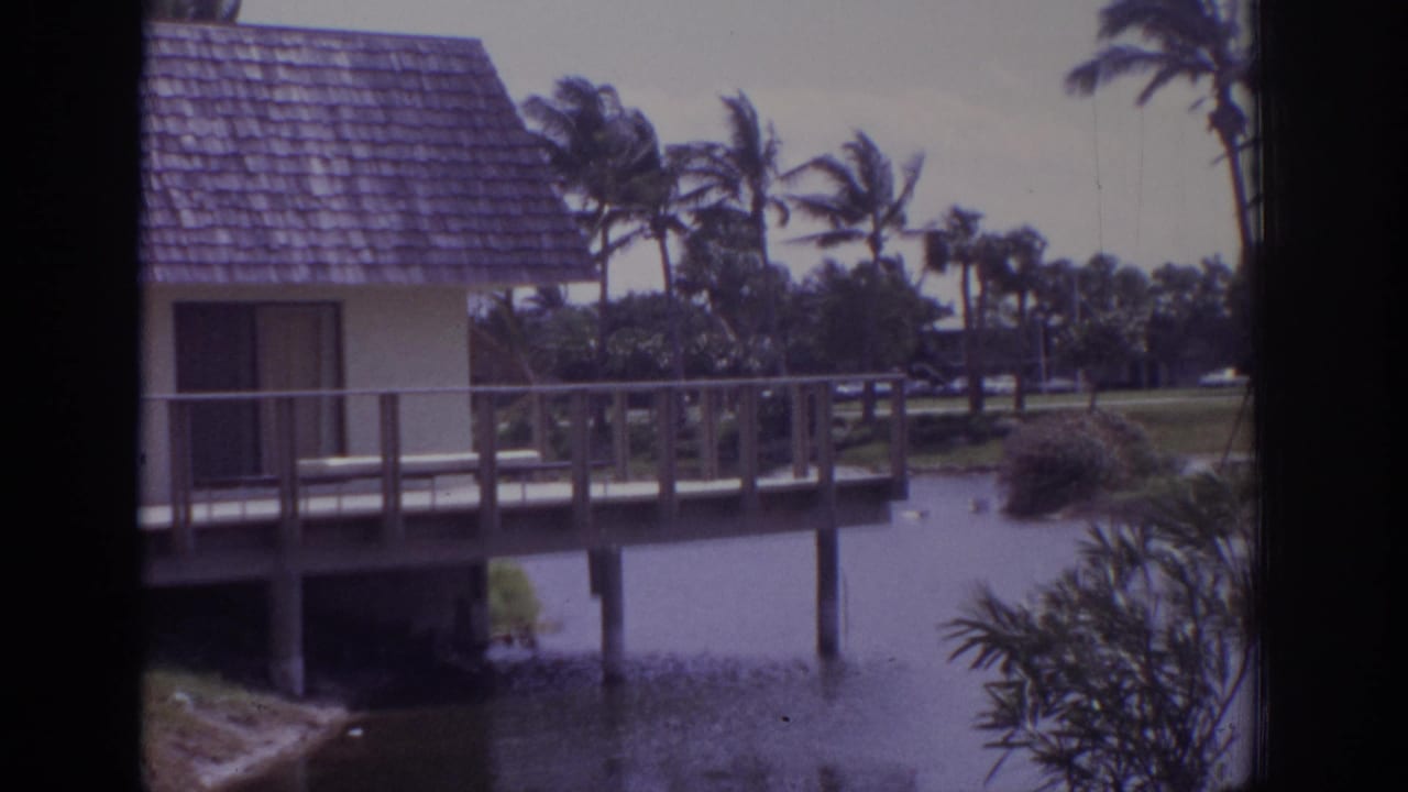 Stilted waterside house with deck railings, calm water, and palm trees behind it.