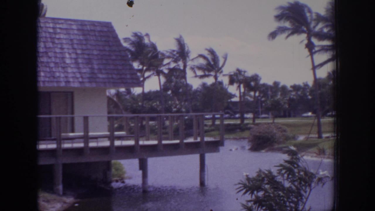 Waterside building on posts with a deck, palm trees, and landscaped grounds.