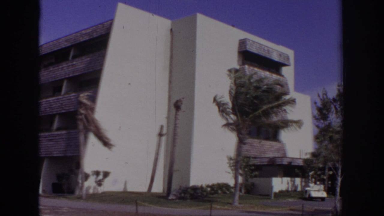 White building corner, windblown palms, lawn, and a parked white car at right.