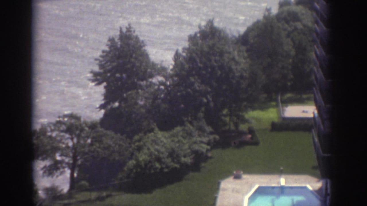High-angle view of lakeside lawn, trees, and part of a swimming pool.