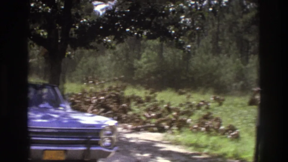 1975 Atlanta home-movie frame showing a blue convertible at the edge of a wooded rural road with grass and roadside brush.