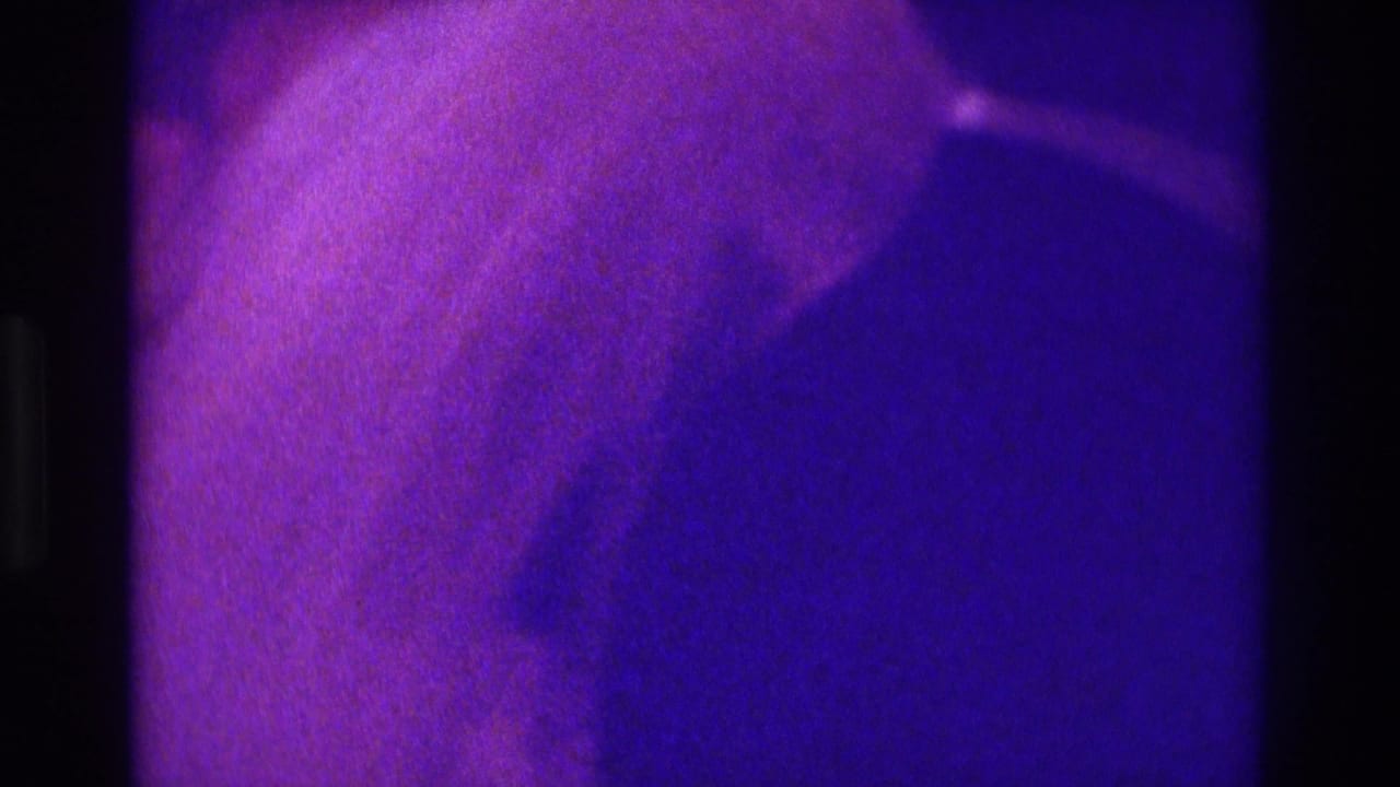 Silhouetted heads and shoulders of wedding guests against a purple indoor background.