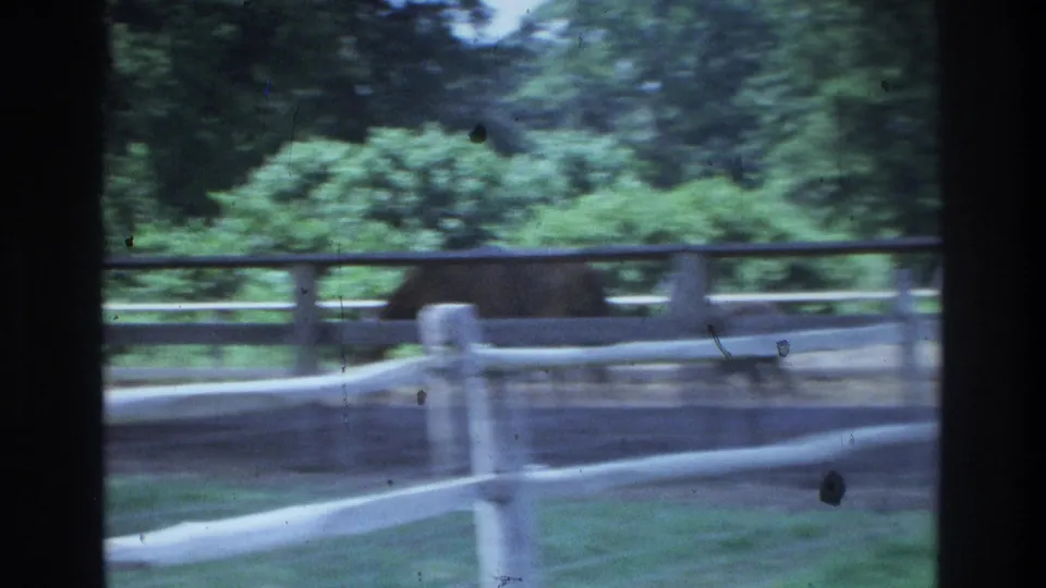 1975 Atlanta-area home-movie frame showing a horse beyond white pasture fencing, with trees and grass viewed through dark vertical edges.