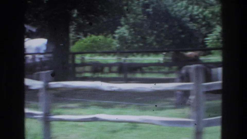 1975 Atlanta-area 8mm frame showing horses in a fenced pasture with grass and trees, partially obscured by dark vertical framing.