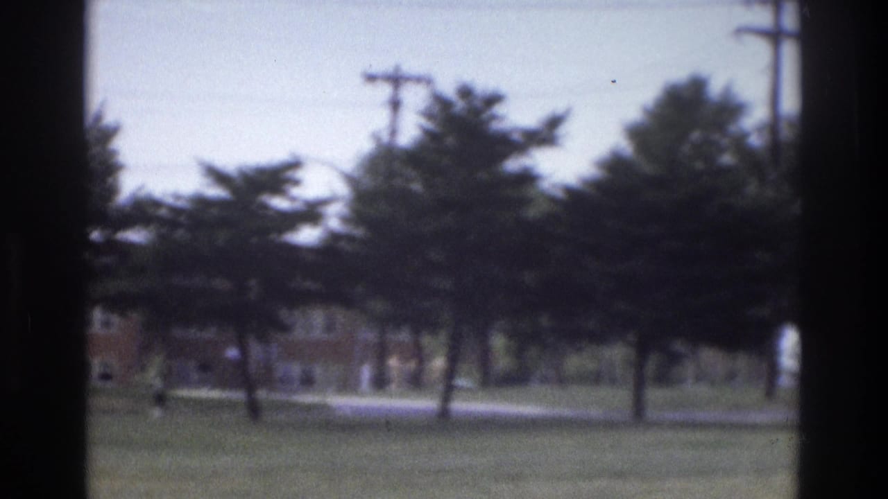 Trees and utility poles line a grassy roadside with a low building in the background.