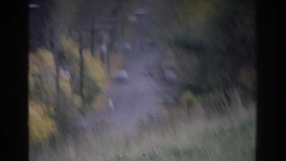 1975 Atlanta 8mm frame looking through dark window bars toward trees and a blurred roadside with cars.