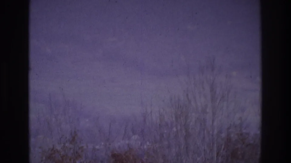 1975 Atlanta-area 8mm frame showing fog over a field or brushy edge, with bare plants and a soft distant hill.