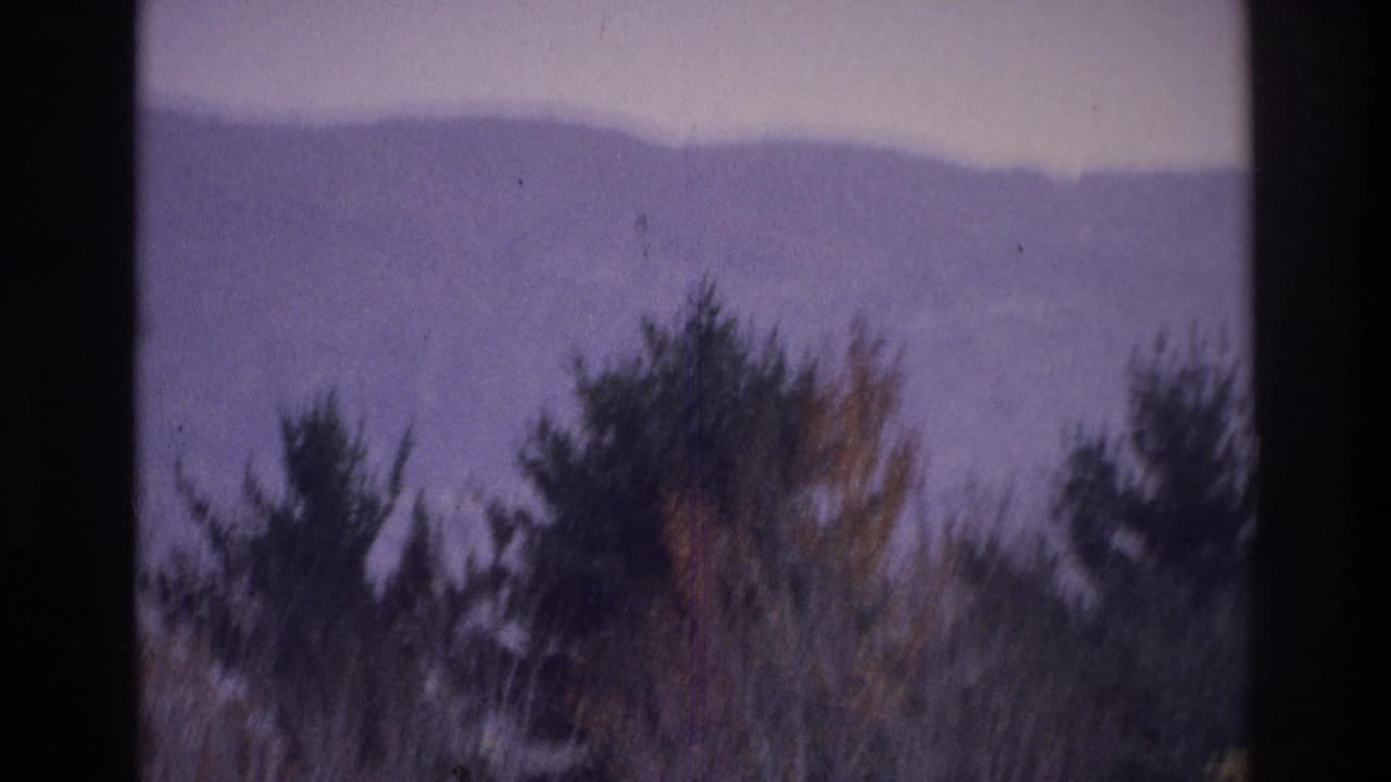 1975 8mm home-movie view near Atlanta, Georgia, showing a hazy ridge beyond foreground trees and dark frame edges.