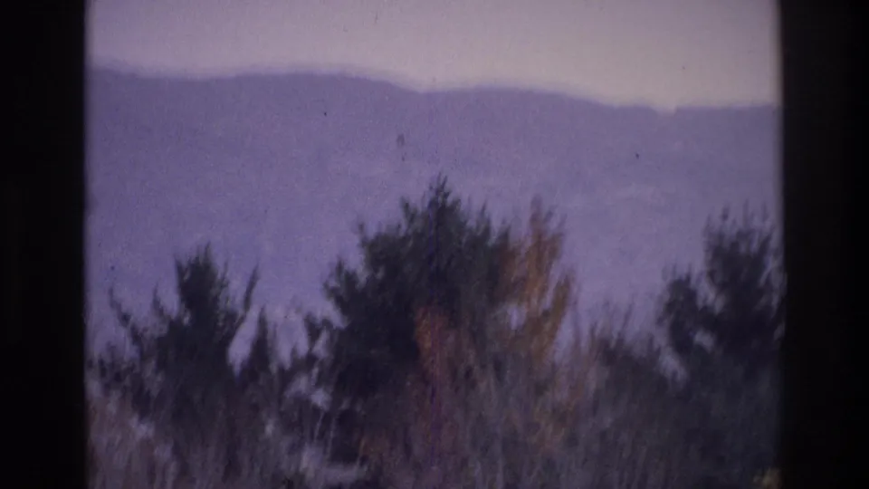 1975 8mm home-movie view near Atlanta, Georgia, showing a hazy ridge beyond foreground trees and dark frame edges.