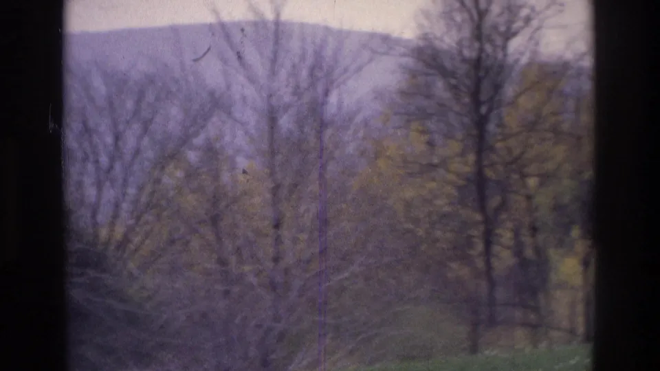 1975 8mm frame near Atlanta, Georgia, with leafless trees, subdued foliage, and a hazy hill behind them.