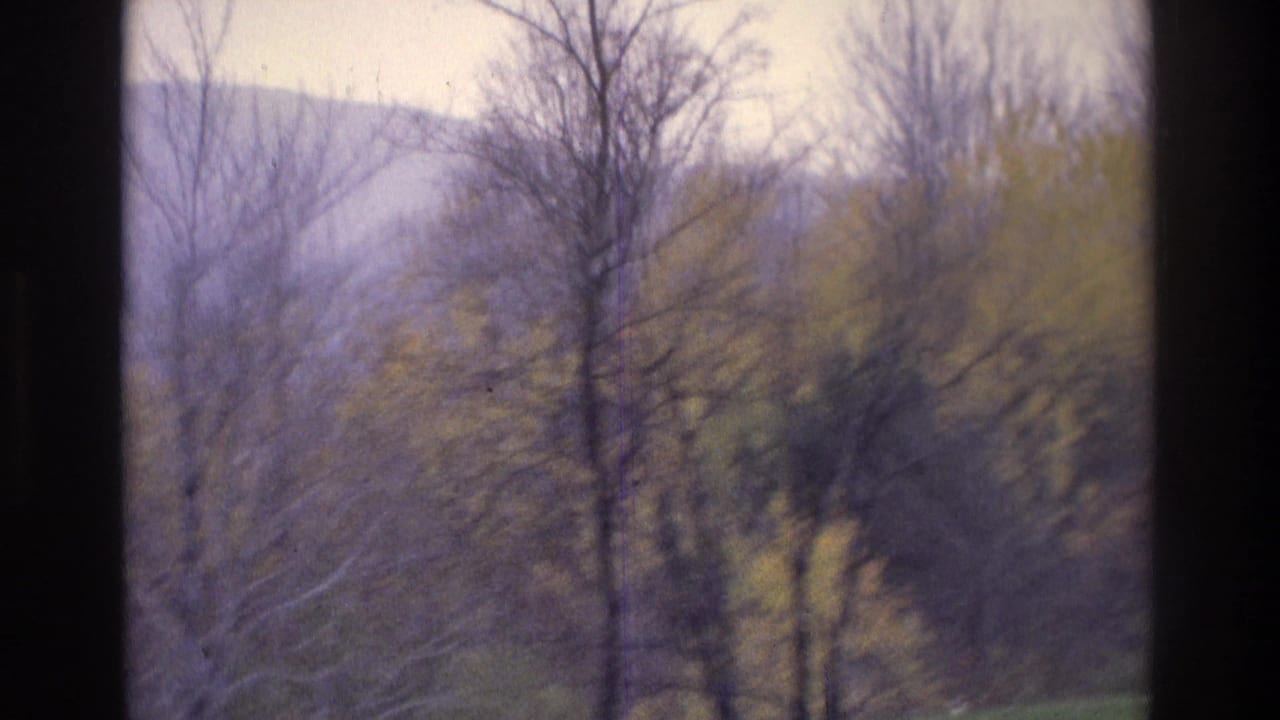 1975 Atlanta-area 8mm frame showing a wooded hillside through a window, with bare branches, muted foliage, and film grain.