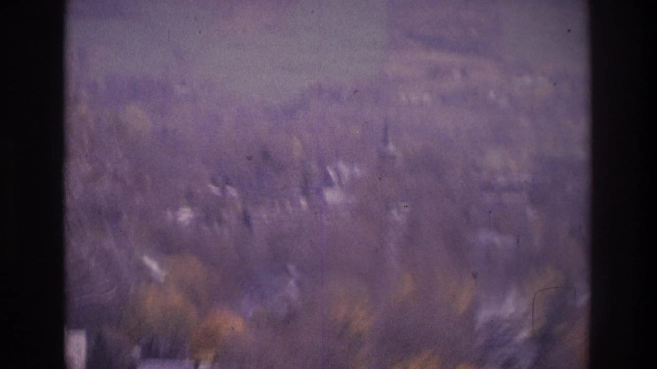 Blurred distant landscape with trees, pale sky, and dark film borders.