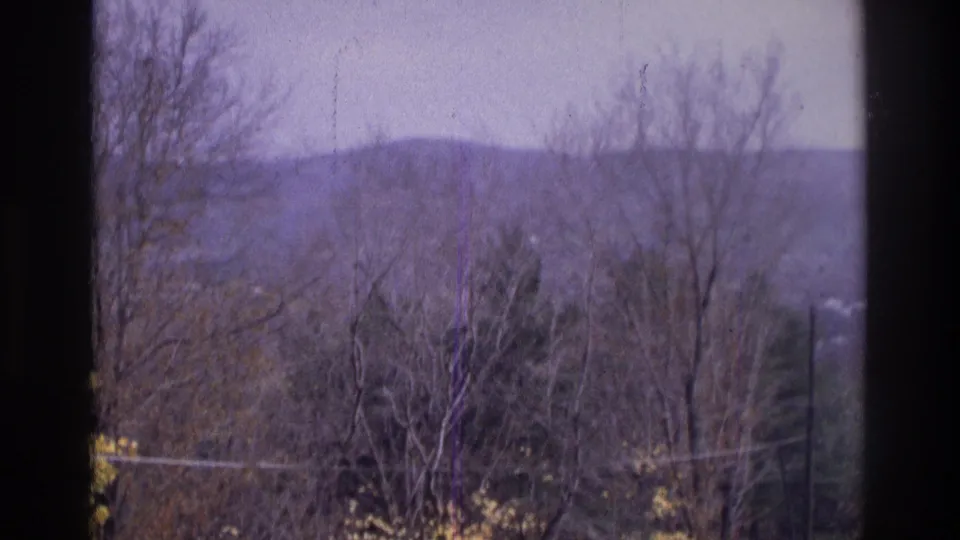 Soft 8mm frame of a wooded Atlanta-area hillside view with bare branches, muted foliage, and distant homes.