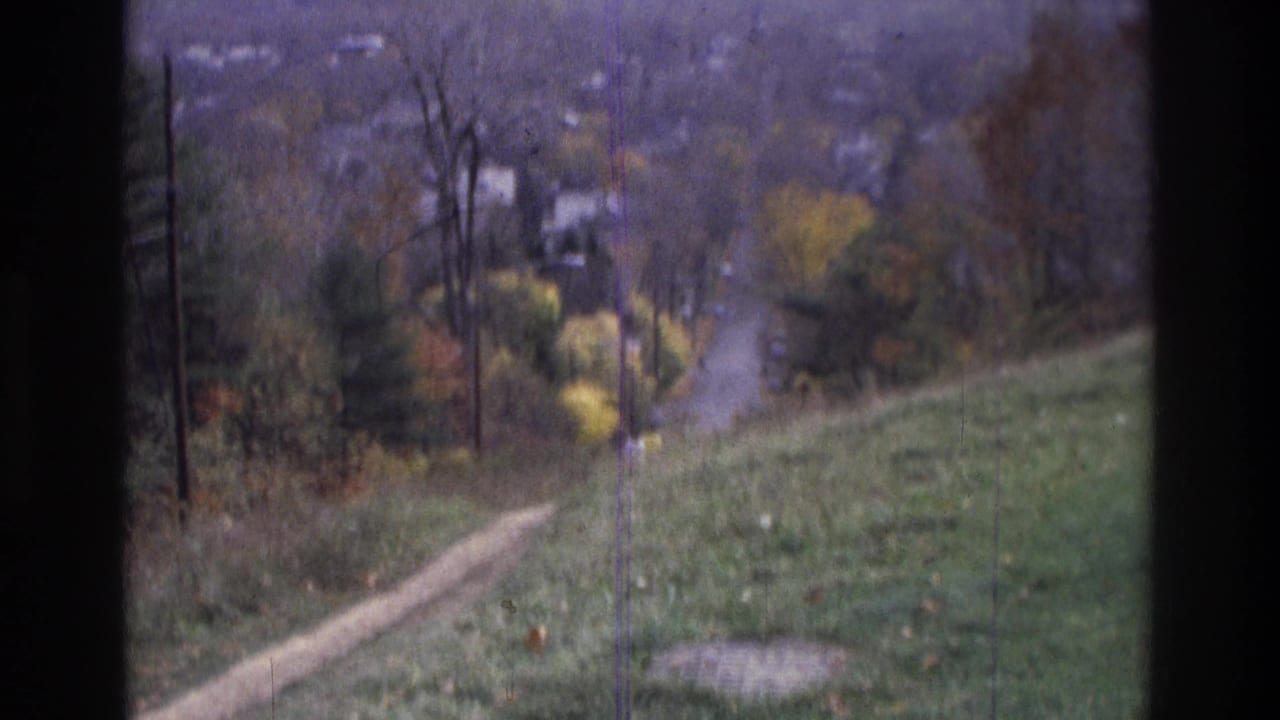 Wooded slope with a dirt path leading toward a distant residential street.