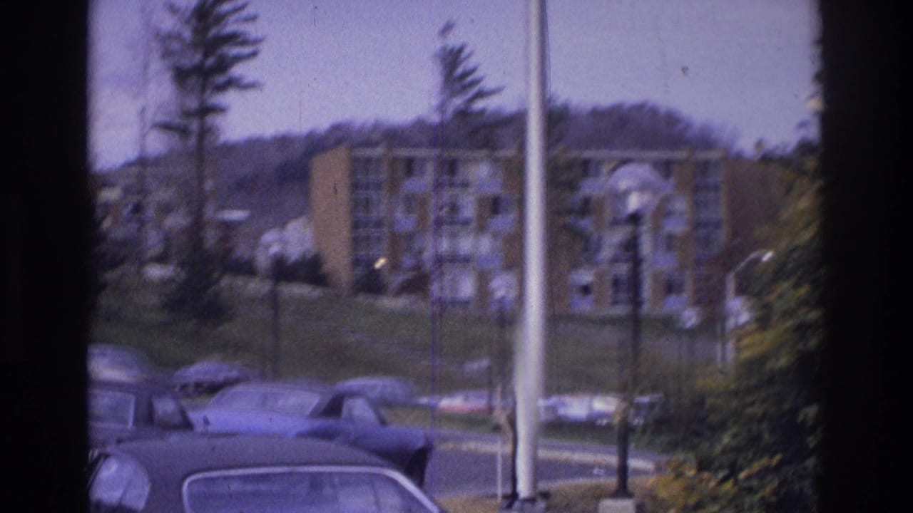 Apartment buildings, parked cars, trees, and lampposts beyond a window frame.