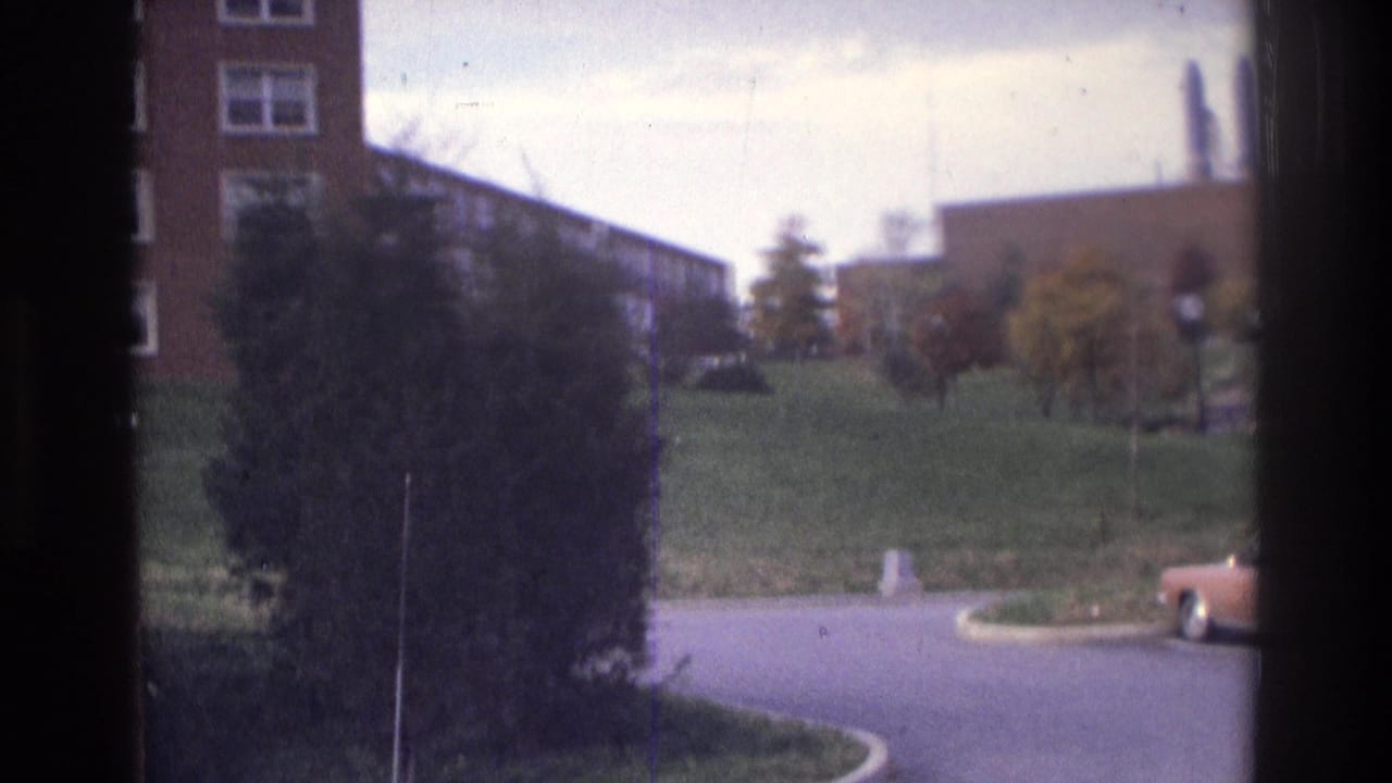 Road curve, large shrub, grassy slope, brick building edge, and partial parked car at right.