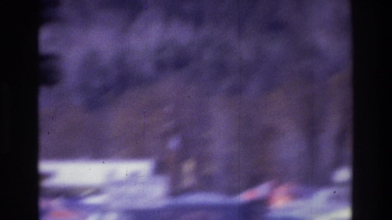 Soft view of a residential street area with parked cars and trees.