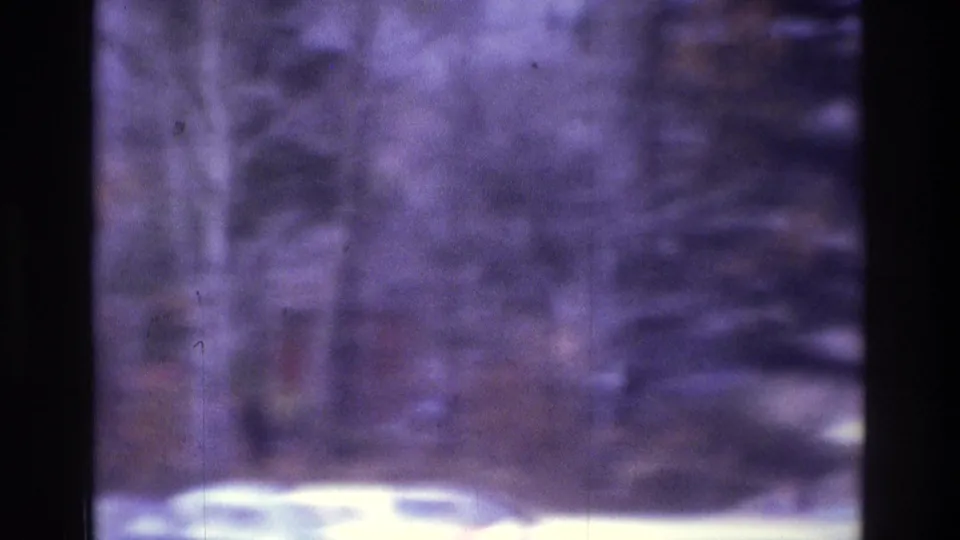 Blurred 1970s Atlanta home-movie frame showing trees or brush with pale parked cars partially visible at the bottom.